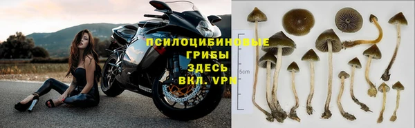 spice Бронницы