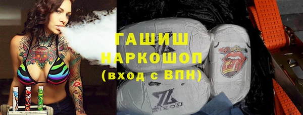 mix Бородино