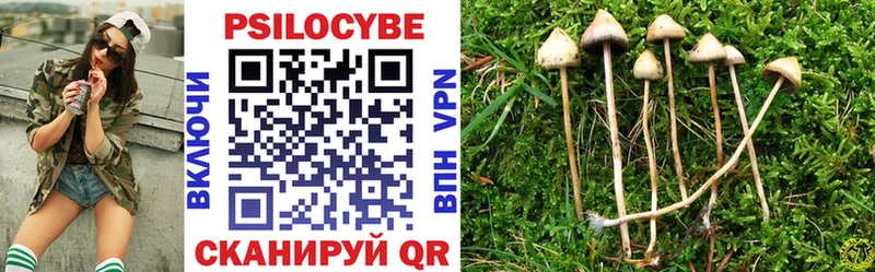 Купить  Нестеров  Псилоцибиновые грибы GOLDEN TEACHER 